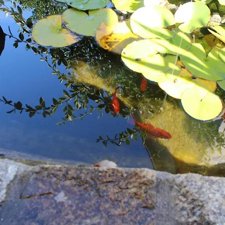 Apartament Os Cerros *