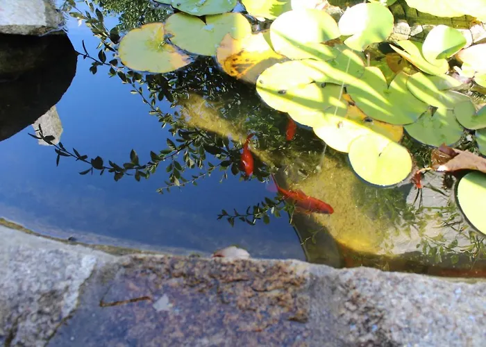 Διαμέρισμα Os Cerros *