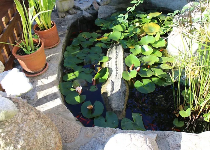 Os Cerros Διαμέρισμα