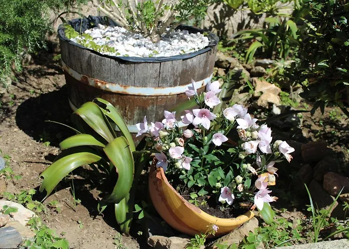 Os Cerros Διαμέρισμα